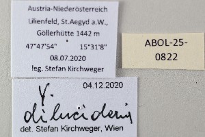  ( - ABOL-25-0822)  @11 [ ] Unspecified (default): All Rights Reserved (2025) Stefan Kirchweger Unspecified