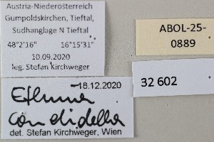  ( - ABOL-25-0889)  @11 [ ] Unspecified (default): All Rights Reserved (2025) Stefan Kirchweger Unspecified