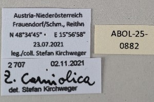  ( - ABOL-25-0882)  @11 [ ] Unspecified (default): All Rights Reserved (2025) Stefan Kirchweger Unspecified