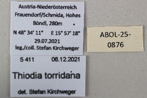  ( - ABOL-25-0876)  @11 [ ] Unspecified (default): All Rights Reserved (2025) Stefan Kirchweger Unspecified