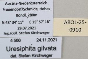  ( - ABOL-25-0910)  @11 [ ] Unspecified (default): All Rights Reserved (2025) Stefan Kirchweger Unspecified