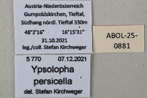  ( - ABOL-25-0881)  @11 [ ] Unspecified (default): All Rights Reserved (2025) Stefan Kirchweger Unspecified