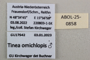  ( - ABOL-25-0858)  @11 [ ] Unspecified (default): All Rights Reserved (2025) Stefan Kirchweger Unspecified