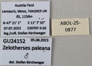  ( - ABOL-25-0877)  @11 [ ] Unspecified (default): All Rights Reserved (2025) Stefan Kirchweger Unspecified