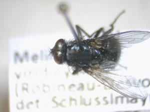  ( - ABOL-25-0420)  @11 [ ] Unspecified (default): All Rights Reserved (2025) Gerhard Schlüsslmayr Unspecified