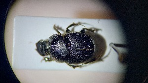  ( - ABDR24_202)  @11 [ ] Unspecified (default): All Rights Reserved (2025) Dominik Rabl Unspecified