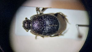  ( - ABDR24_203)  @11 [ ] Unspecified (default): All Rights Reserved (2025) Dominik Rabl Unspecified