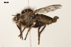  ( - ABOL-25-1109)  @11 [ ] CC-BY (2025) Naturhistorisches Museum Wien Unspecified