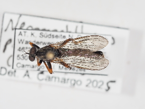  ( - ABOL-25-1357)  @11 [ ] Unspecified (default): All Rights Reserved (2025) Naturhistorisches Museum Wien Unspecified