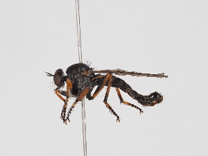  ( - ABOL-25-1357)  @11 [ ] Unspecified (default): All Rights Reserved (2025) Naturhistorisches Museum Wien Unspecified