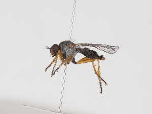  ( - ABOL-25-1359)  @11 [ ] Unspecified (default): All Rights Reserved (2025) Naturhistorisches Museum Wien Unspecified