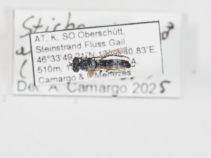  ( - ABOL-25-1360)  @11 [ ] Unspecified (default): All Rights Reserved (2025) Naturhistorisches Museum Wien Unspecified