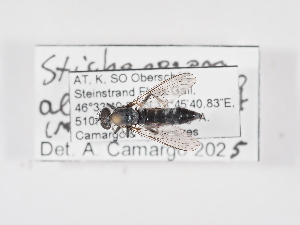  ( - ABOL-25-1361)  @11 [ ] Unspecified (default): All Rights Reserved (2025) Naturhistorisches Museum Wien Unspecified