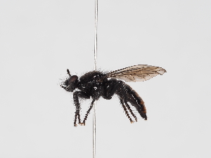  ( - ABOL-25-1369)  @11 [ ] Unspecified (default): All Rights Reserved (2025) Naturhistorisches Museum Wien Unspecified