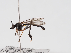  ( - ABOL-25-1370)  @11 [ ] Unspecified (default): All Rights Reserved (2025) Naturhistorisches Museum Wien Unspecified