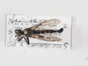  ( - ABOL-25-1372)  @11 [ ] Unspecified (default): All Rights Reserved (2025) Naturhistorisches Museum Wien Unspecified