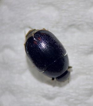  ( - ADHYD_005)  @11 [ ] CC-BY (2025) Dominik Rabl Unspecified