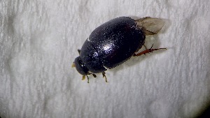  ( - ADHYD_032)  @11 [ ] CC-BY (2025) Dominik Rabl Unspecified