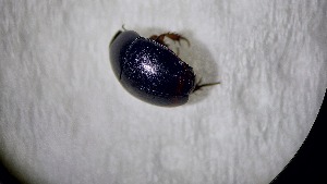  ( - ADHYD_038)  @11 [ ] CC-BY (2025) Dominik Rabl Unspecified