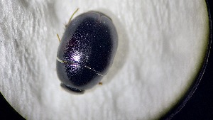  ( - ADHYD_068)  @11 [ ] CC-BY (2025) Dominik Rabl Unspecified