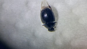  ( - ADHYD_171)  @11 [ ] CC-BY (2025) Dominik Rabl Unspecified