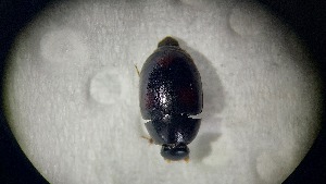  ( - ADHYD_195)  @11 [ ] CC-BY (2025) Dominik Rabl Unspecified