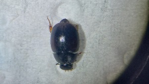  ( - ADHYD_203)  @11 [ ] CC-BY (2025) Dominik Rabl Unspecified