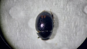  ( - ADHYD_237)  @11 [ ] CC-BY (2025) Dominik Rabl Unspecified