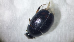  ( - ADHYD_251)  @11 [ ] CC-BY (2025) Dominik Rabl Unspecified