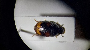  ( - ADHYD_271)  @11 [ ] CC-BY (2025) Dominik Rabl Unspecified