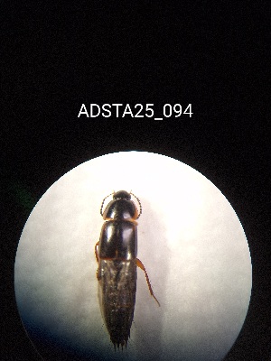  ( - ADSTA25_094)  @11 [ ] Unspecified (default): All Rights Reserved (2025) Dominik Rabl Unspecified