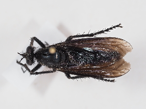  ( - NF-25-147)  @11 [ ] Unspecified (default): All Rights Reserved (2025) Naturhistorisches Museum Wien Unspecified