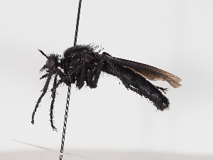  ( - NF-25-147)  @11 [ ] Unspecified (default): All Rights Reserved (2025) Naturhistorisches Museum Wien Unspecified