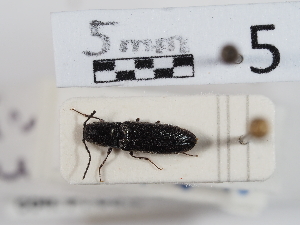  ( - ABOL-24-1499)  @11 [ ] Unspecified (default): All Rights Reserved (2024) Naturhistorisches Museum Wien Naturhistorisches Museum Wien