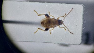  ( - RDRB24_215)  @11 [ ] Unspecified (default): All Rights Reserved (2025) Dominik Rabl Unspecified