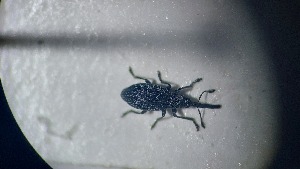  ( - RDRB24_222)  @11 [ ] Unspecified (default): All Rights Reserved (2025) Dominik Rabl Unspecified