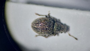  ( - RDRB24_226)  @11 [ ] Unspecified (default): All Rights Reserved (2025) Dominik Rabl Unspecified