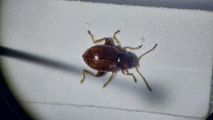  ( - RDRB24_236)  @11 [ ] Unspecified (default): All Rights Reserved (2025) Dominik Rabl Unspecified