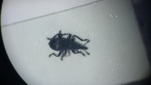  ( - RDRB24_270)  @11 [ ] Unspecified (default): All Rights Reserved (2025) Dominik Rabl Unspecified