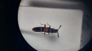  ( - RDRB24_281)  @11 [ ] Unspecified (default): All Rights Reserved (2025) Dominik Rabl Unspecified