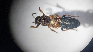  ( - RDRB24_362)  @11 [ ] Unspecified (default): All Rights Reserved (2025) Dominik Rabl Unspecified