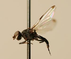  ( - ZMMU AIS000062)  @12 [ ] Unspecified (default): All Rights Reserved  Unspecified Unspecified