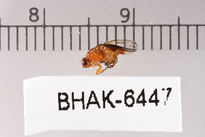  ( - BHAK-06447)  @11 [ ] CreativeCommons - Attribution No Derivatives (2018) Hakai Institute Hakai Institute