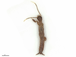  ( - CBG-B19979-H10)  @11 [ ] CreativeCommons - Attribution Share - Alike (2025) CBG Photography Group Centre for Biodiversity Genomics