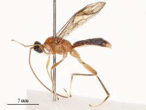  ( - CBG-B15689-C08)  @11 [ ] CreativeCommons - Attribution Share - Alike (2025) CBG Photography Group Centre for Biodiversity Genomics