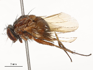  ( - CBG-B15689-C12)  @11 [ ] CreativeCommons - Attribution Share - Alike (2025) CBG Photography Group Centre for Biodiversity Genomics