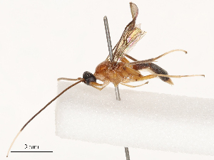  ( - CBG-B19972-F10)  @11 [ ] CreativeCommons - Attribution Share - Alike (2025) CBG Photography Group Centre for Biodiversity Genomics