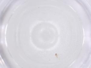  ( - CBG-B22422-B09)  @11 [ ] CreativeCommons - Attribution Share - Alike (2025) Centre for Biodiversity Genomics Centre for Biodiversity Genomics