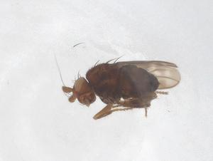  ( - CBG-B01088-A10)  @11 [ ] CreativeCommons - Attribution Share - Alike (2025) Centre for Biodiversity Genomics Centre for Biodiversity Genomics