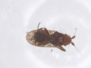  ( - CBG-B01089-E04)  @11 [ ] CreativeCommons - Attribution Share - Alike (2025) Centre for Biodiversity Genomics Centre for Biodiversity Genomics